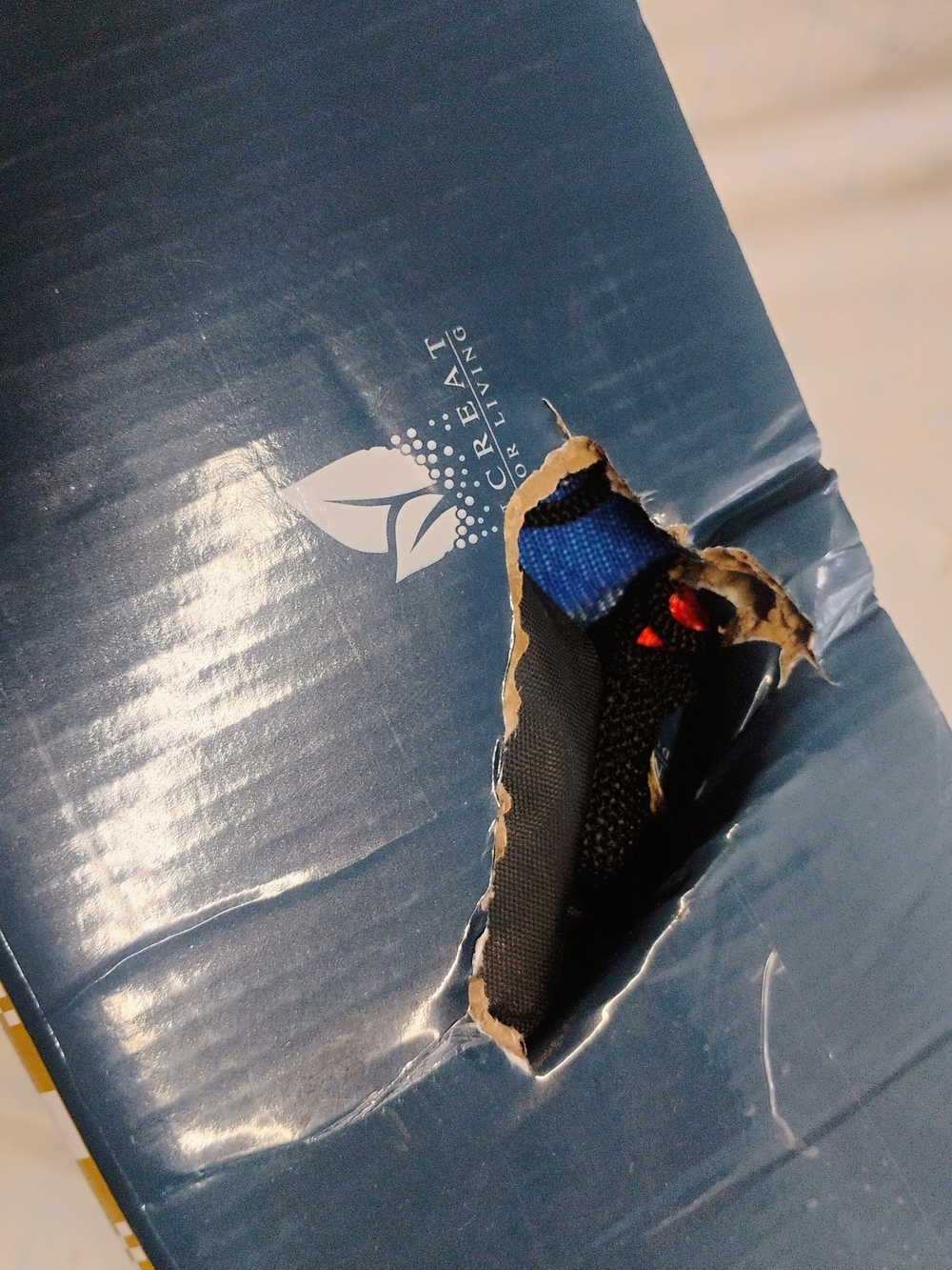 Suncreat Hammock